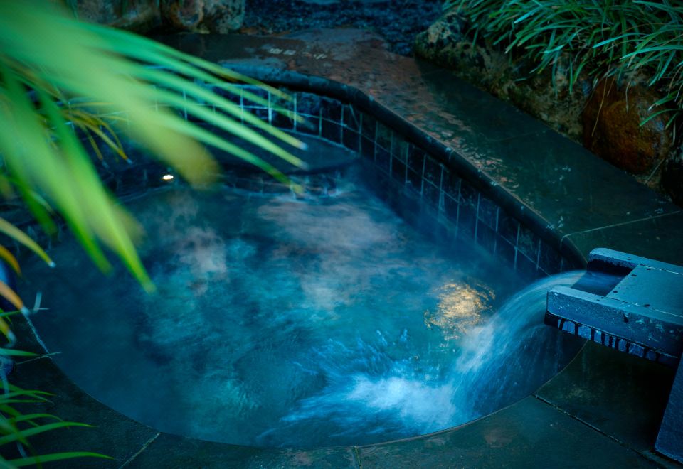 錾影泡池双床房