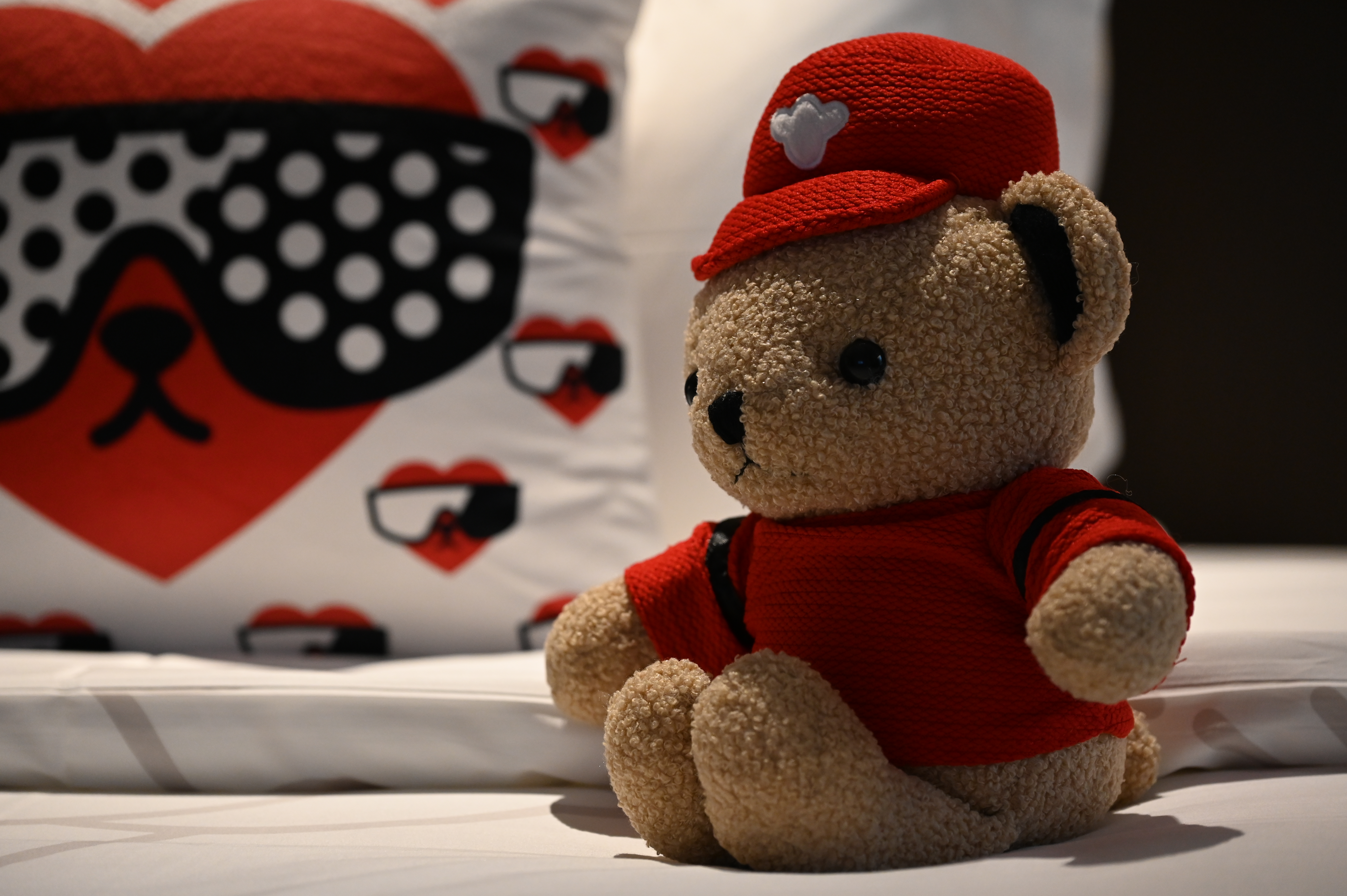 泰迪珍藏星品双床房