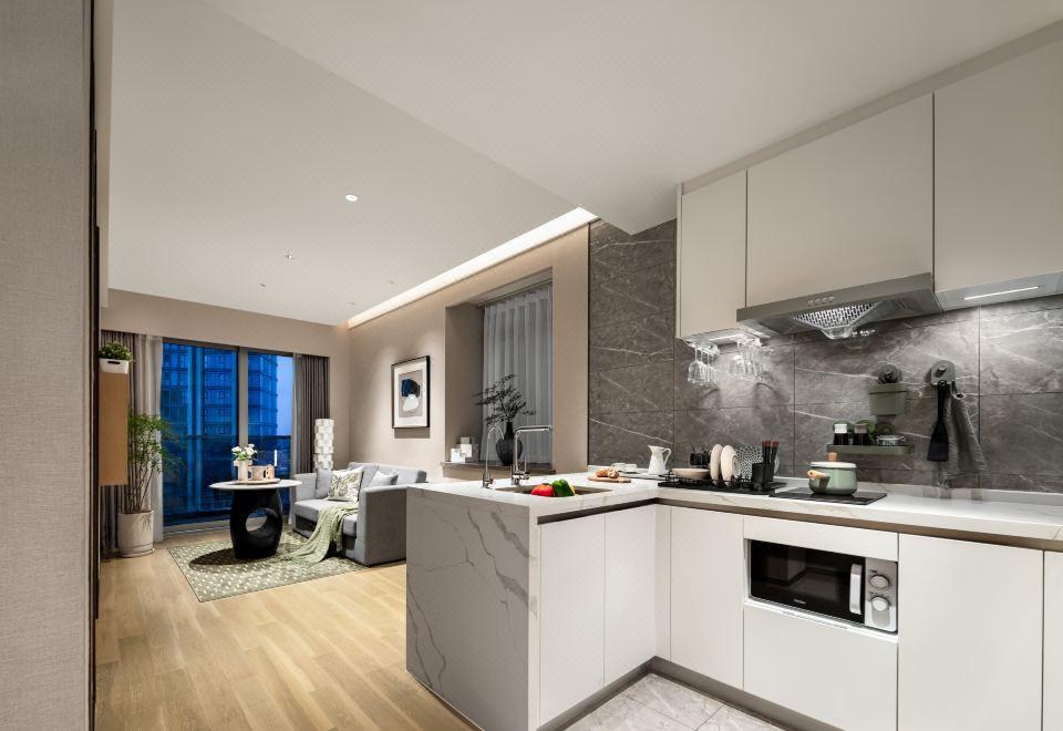 一房豪华套房（洗烘机+冰箱+投屏）