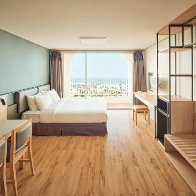 패밀리 (취사/스탠다드/더블) 소노벨 제주 쿠폰