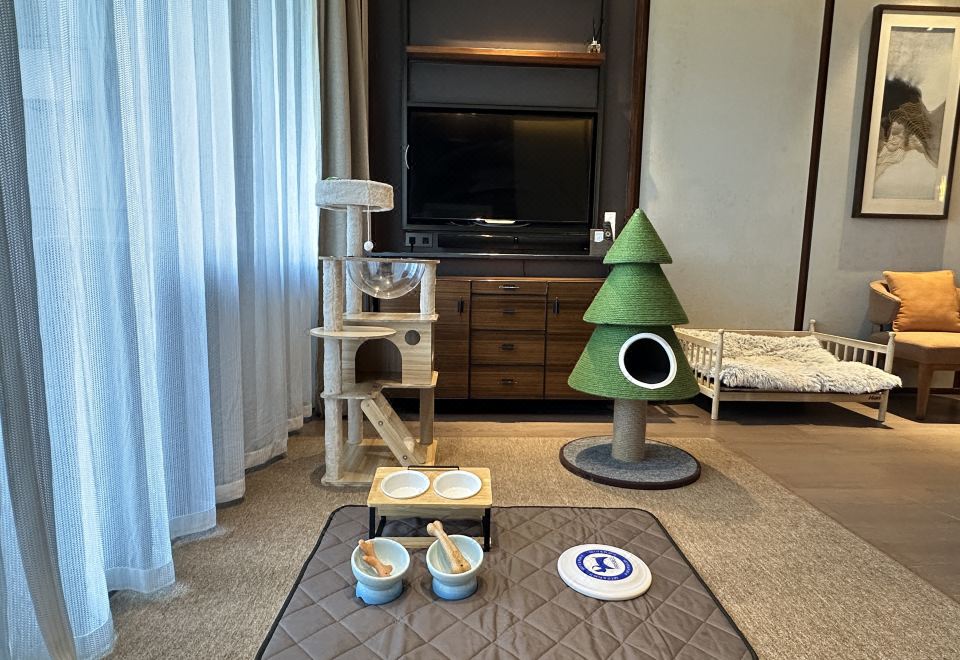 豪华宠物海景大床房