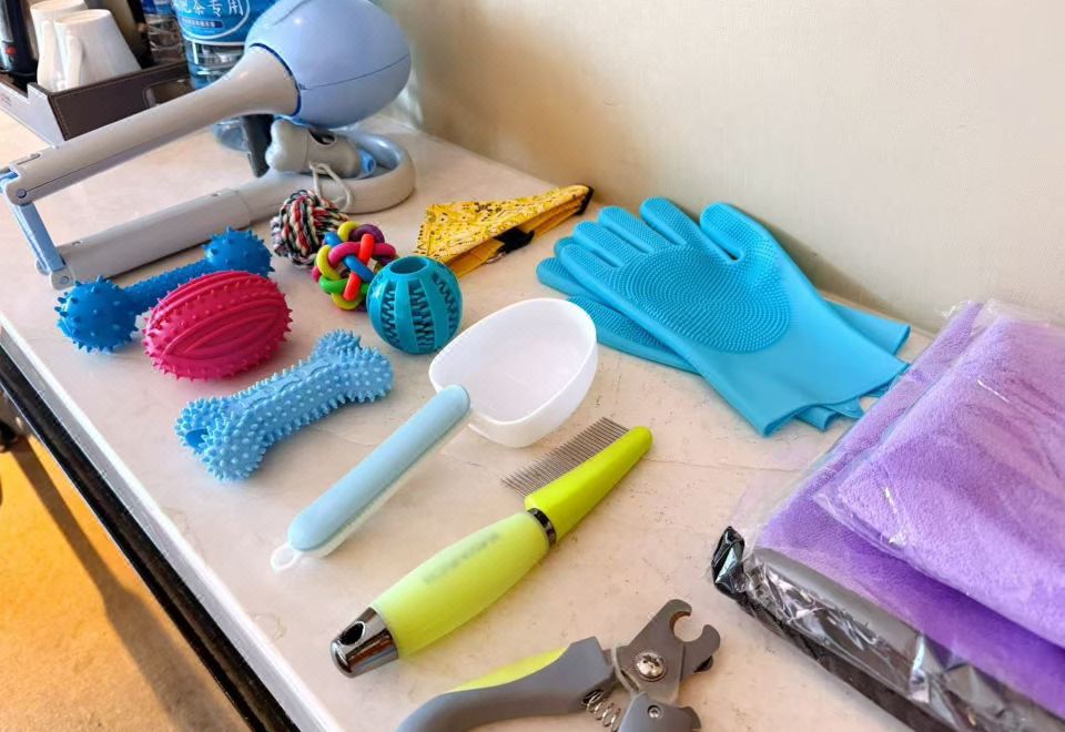 Wanda Realm LangfangPet-Companion Premium Deluxe Double Bed Room (Pet Supplies + Toys)