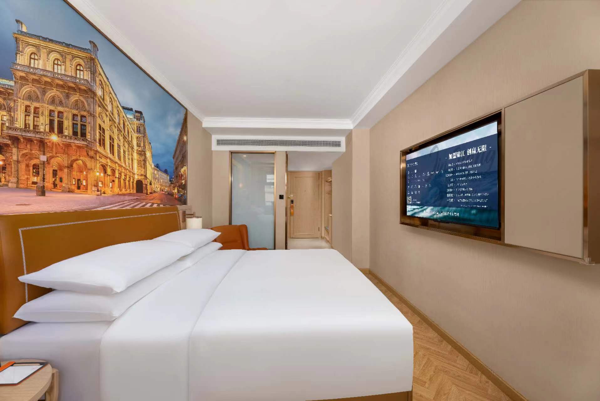 豪华大床房（智能客控）