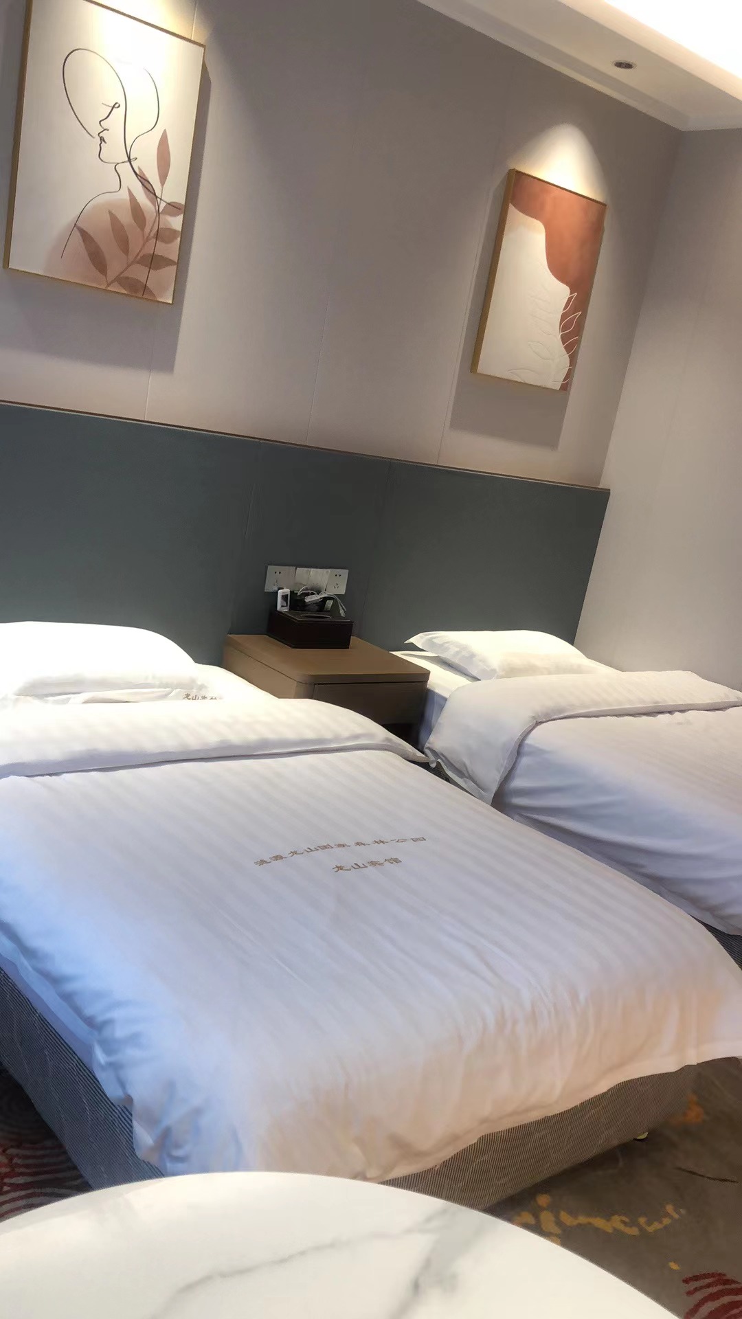 Longshan Hotel雅致双人间