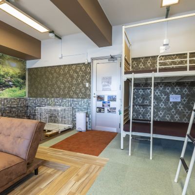 207【禁煙】 ワンワン部屋（バス・トイレ共用） おもてなしホステル宮島 クーポン