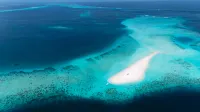 Pavona Maldives Hotéis em 