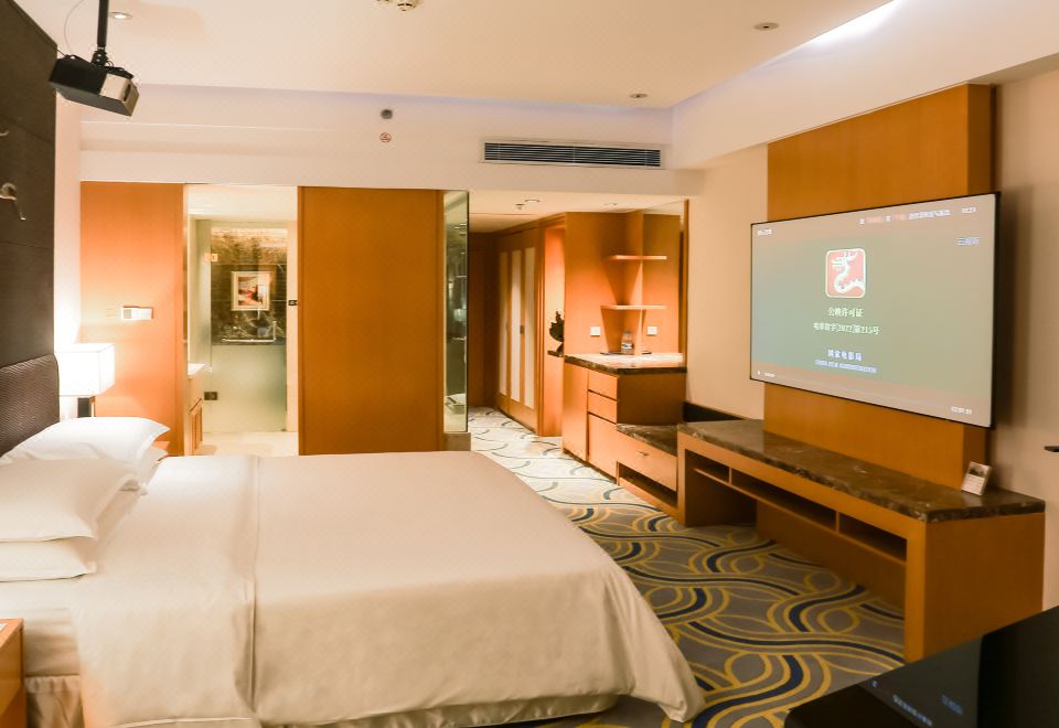 豪華海景影音房