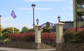 'The Rose' Business Travelers - Housity