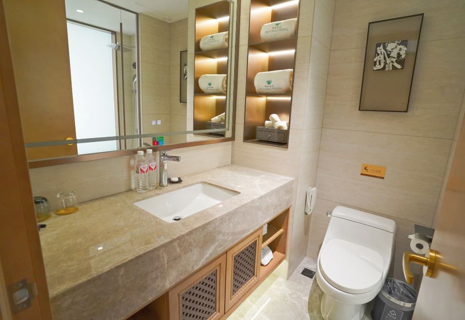 商務雅致雙床房（蒸汽熨斗）