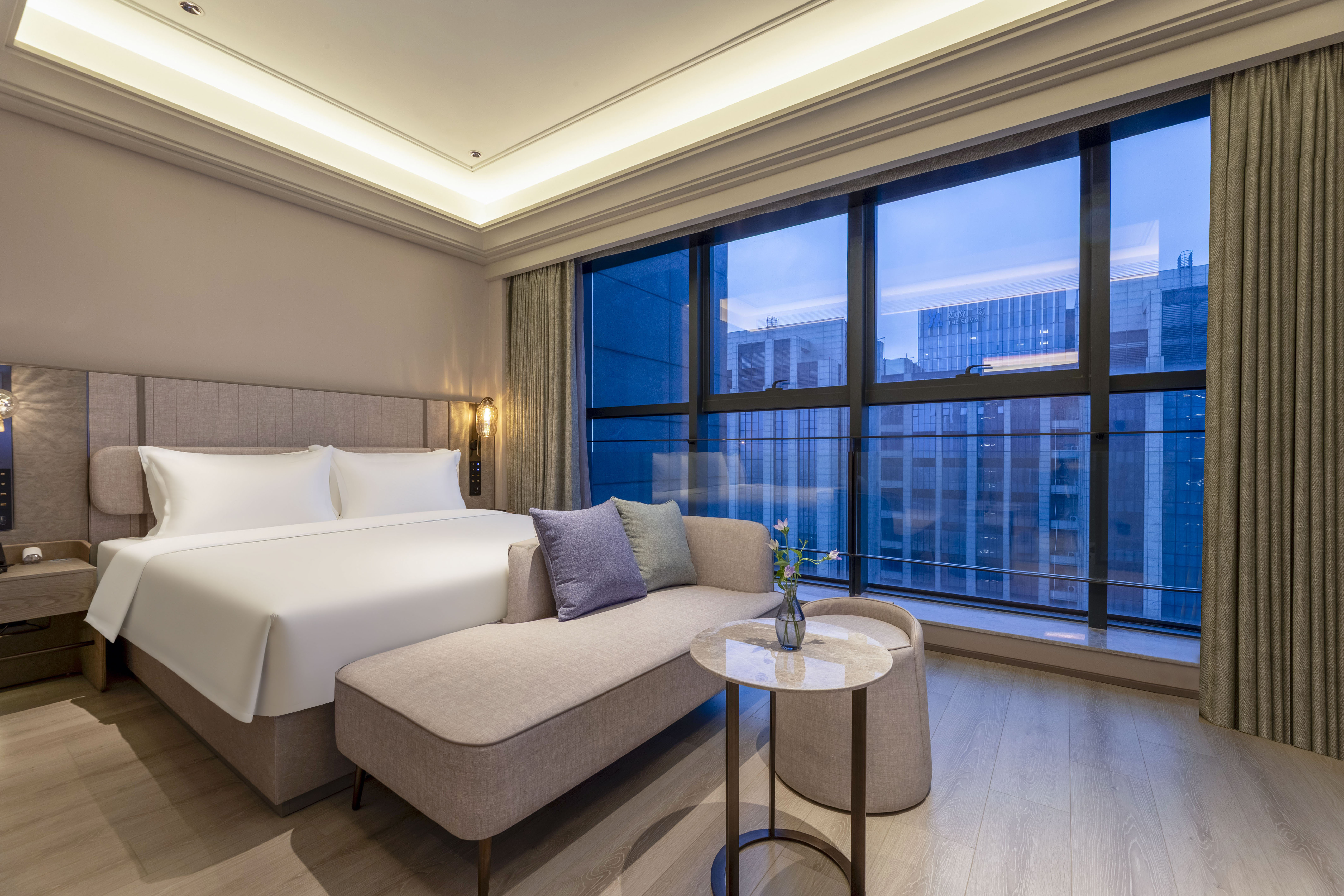 行政嘉宾套房（一室一厅）