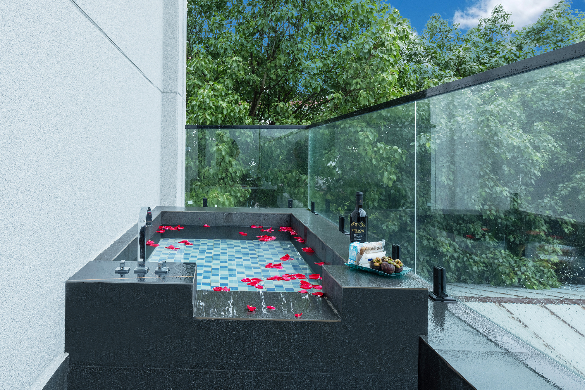 Wen'An Health Double Bed Room (Open-Air Soak Pool + Smart Guest Control + Smart Toilet + Hot Spring)