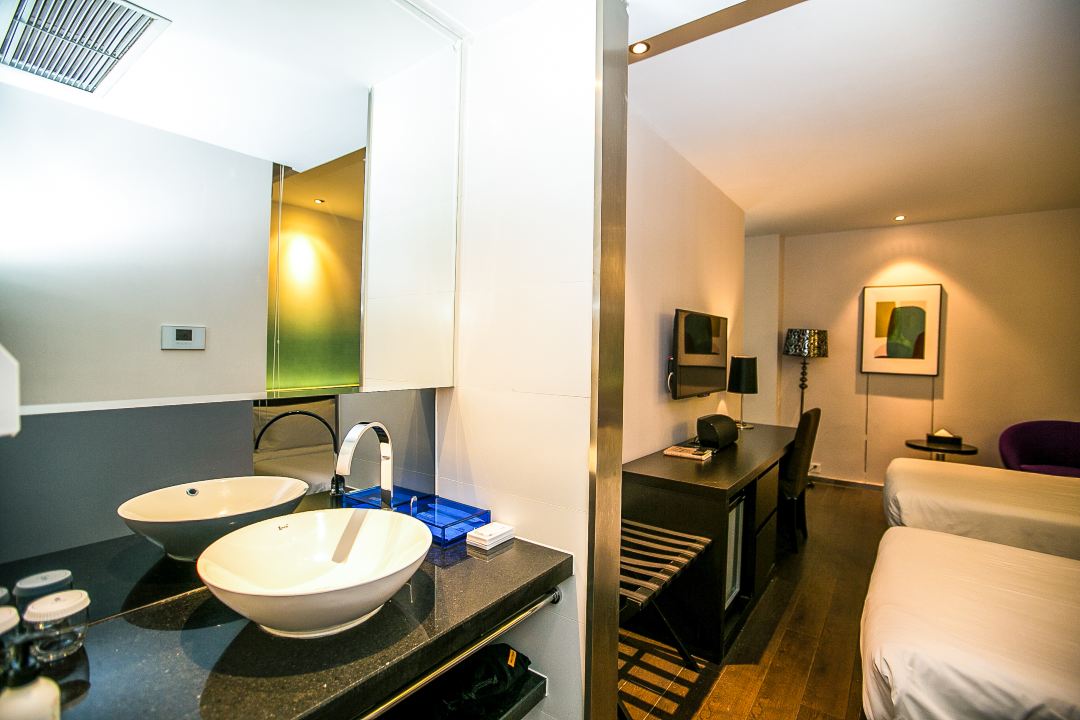 双床房（小冰箱+手机投屏）