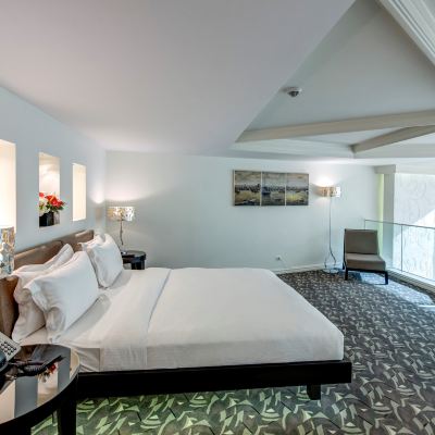 Duplex Grand King Suite The Elysium Taksim Promo Code