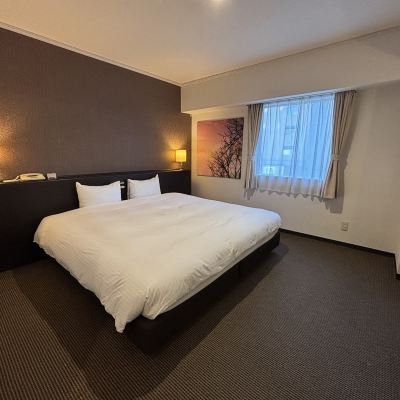 デラックス ダブルルーム(喫煙) ホテル ローヤルステイサッポロ クーポン