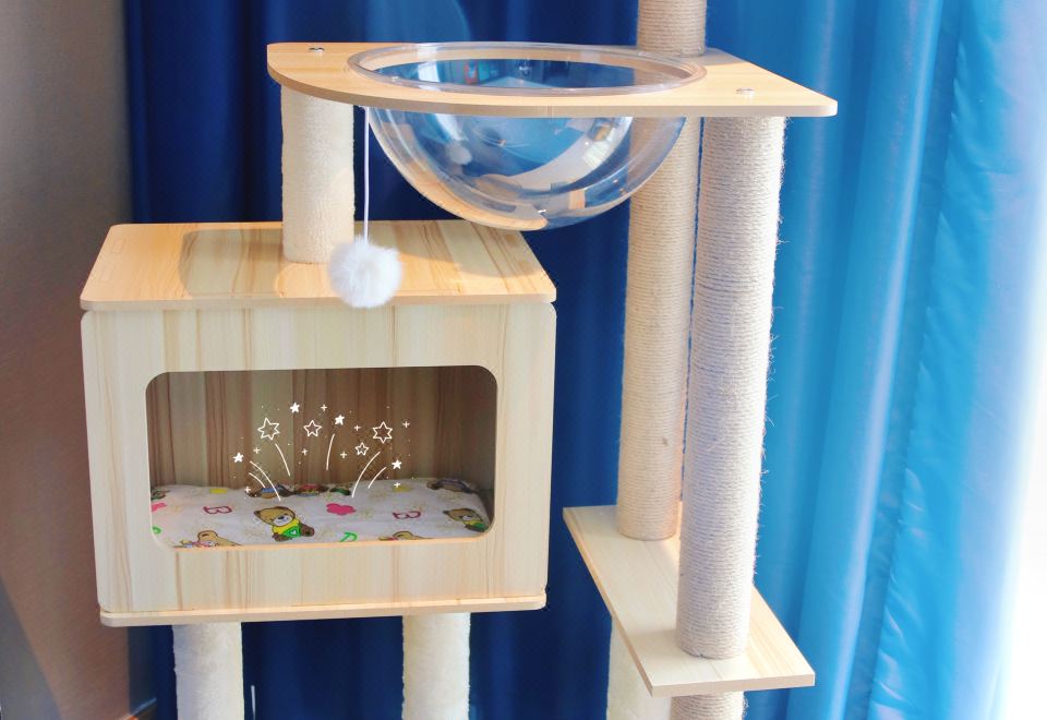 喵星人萌宠大床房（宠物友好+猫爬架+猫砂盆+猫碗）