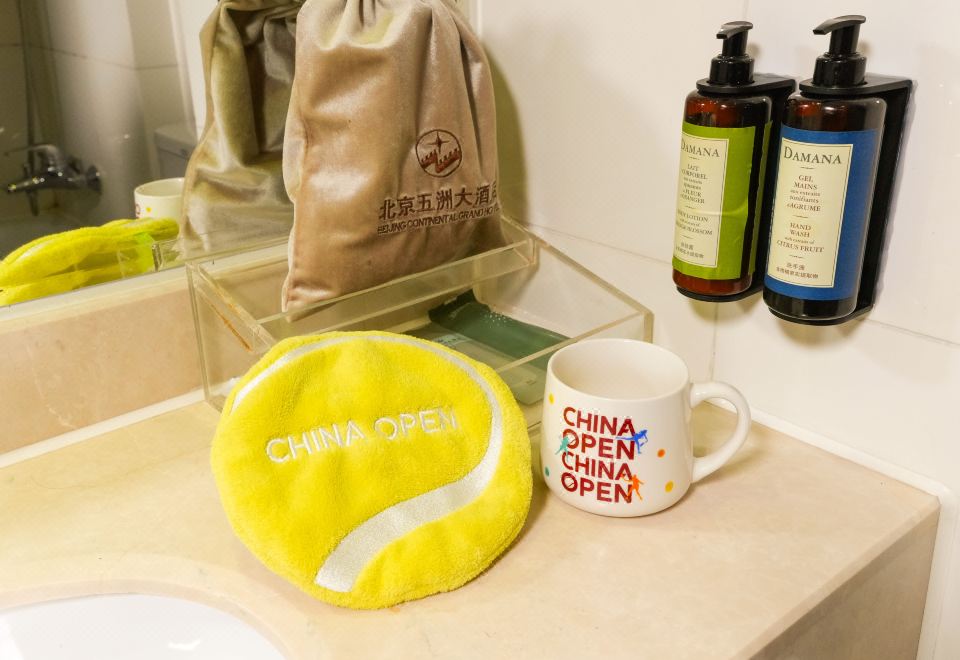 中网主题豪华双床房