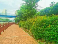 Rongyu International Hotel (Jishhou Municipal Government Ganzhou Ancient City Branch)