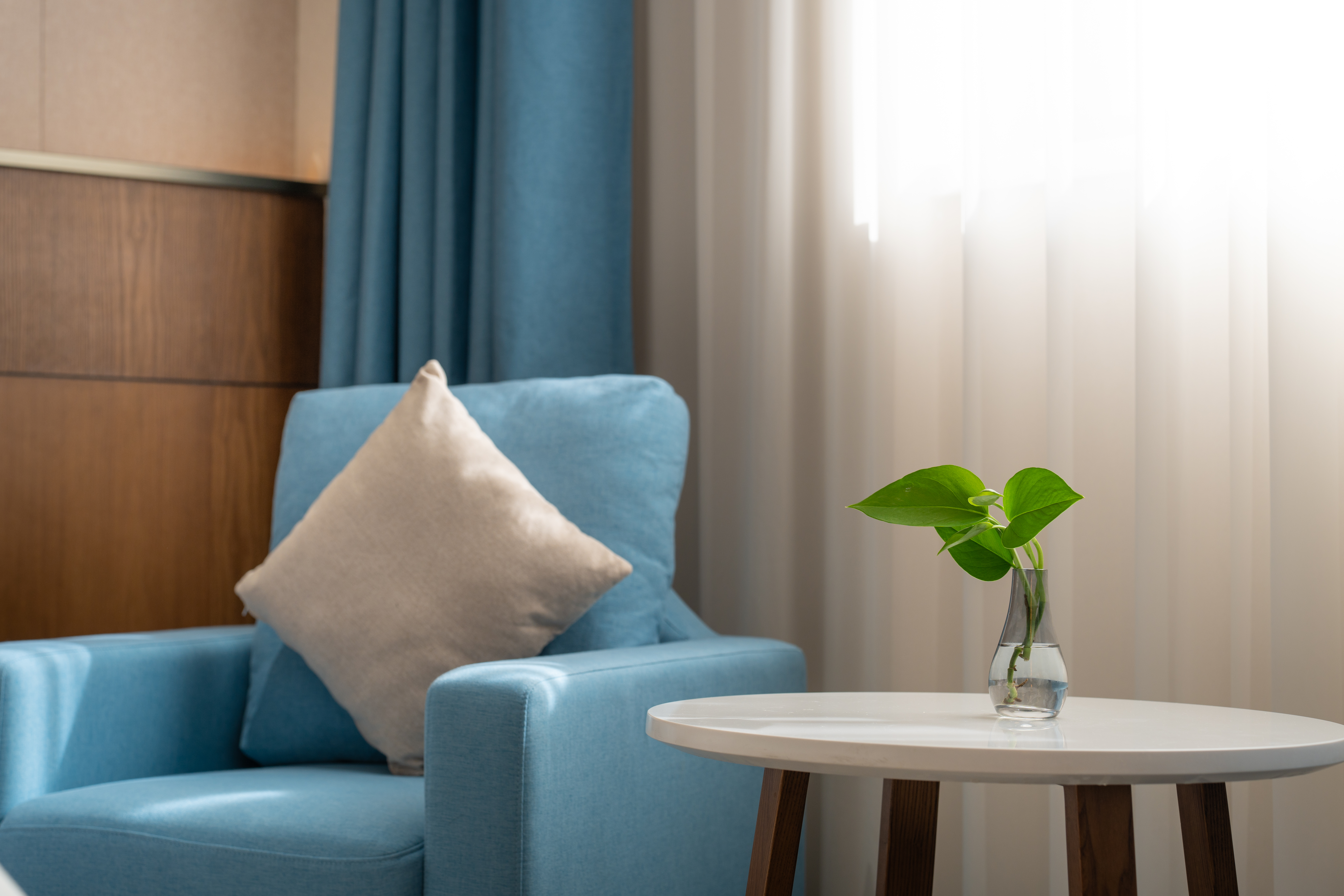 凤凰嘉宾双床房