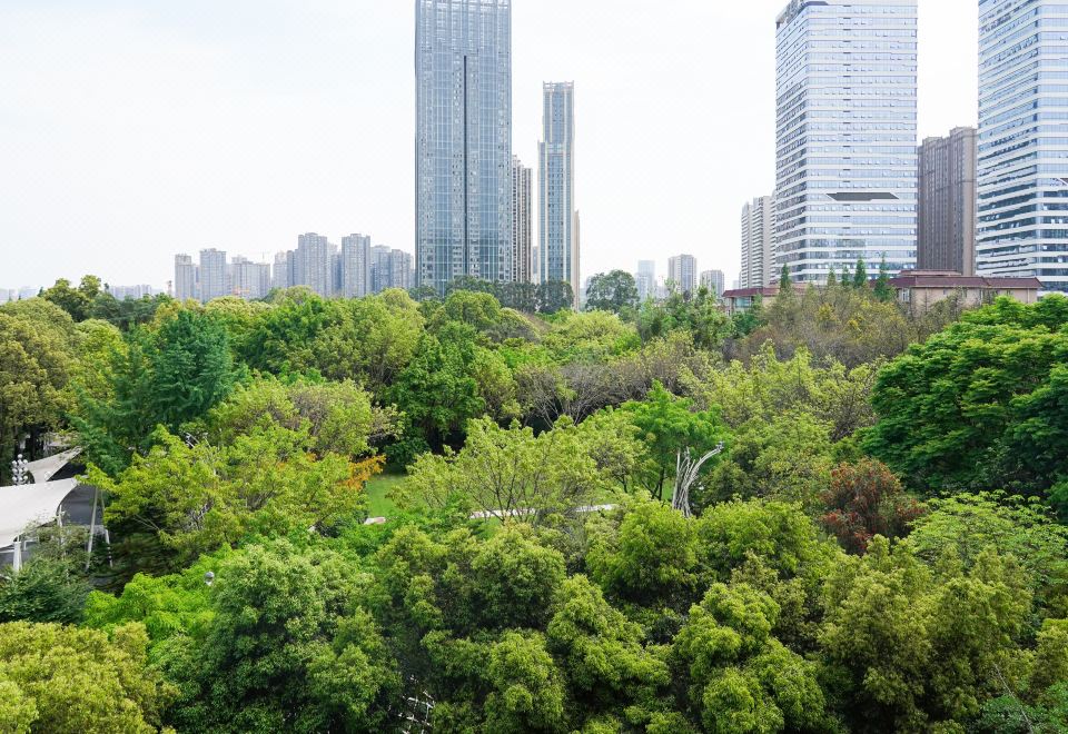 森林氧吧·园景大床房