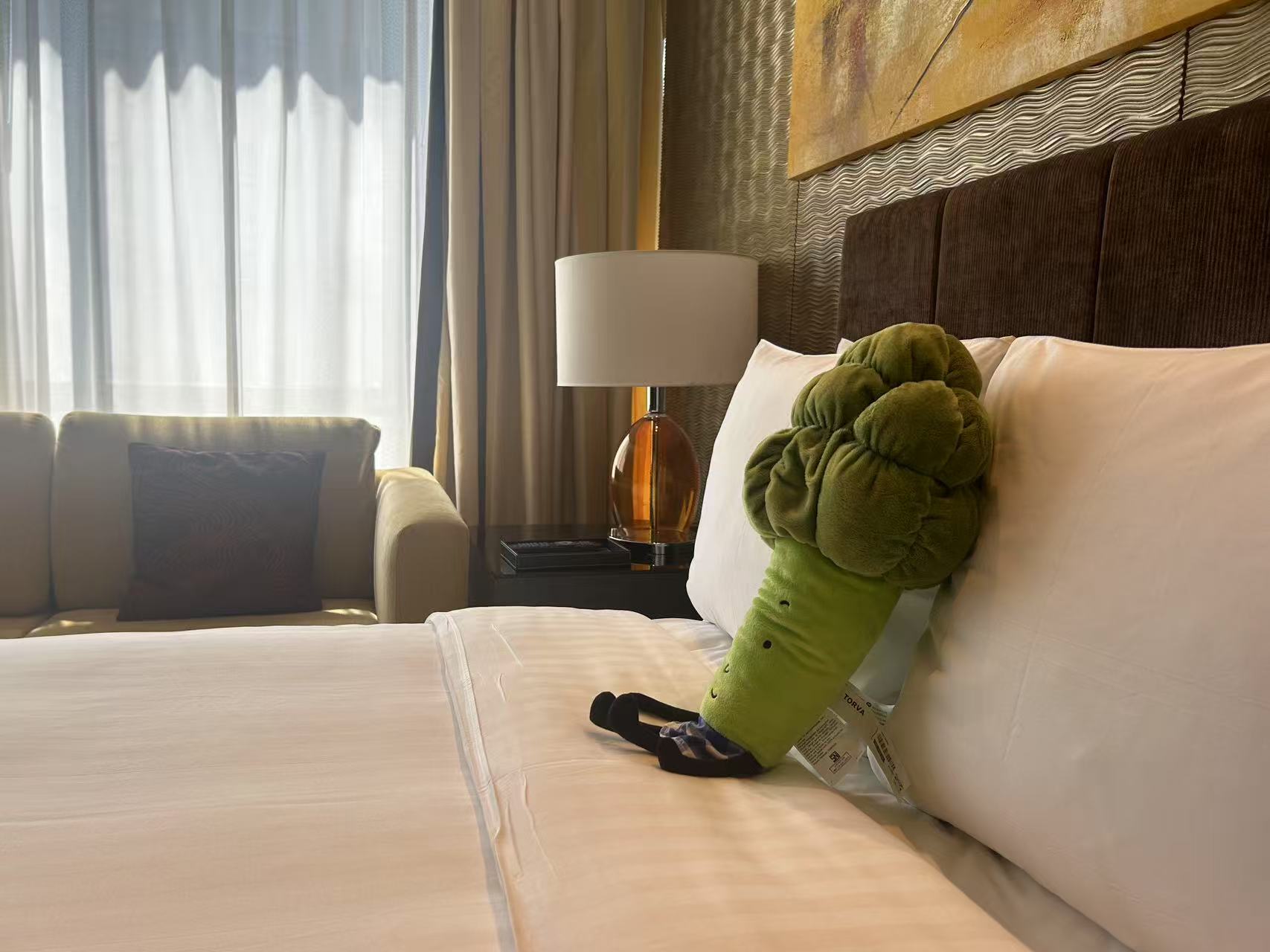 家庭一居室套房