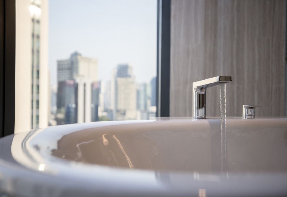 Hyatt Regency Bangkok Sukhumvit1 King Bed Deluxe