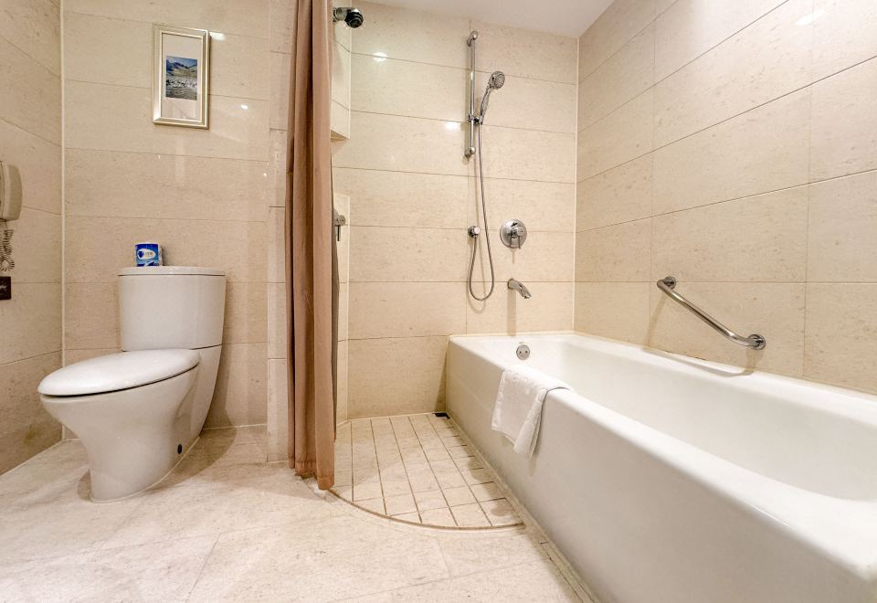 輕悅·雅靜大床間 （靜謐空間,德國GROHE花灑）