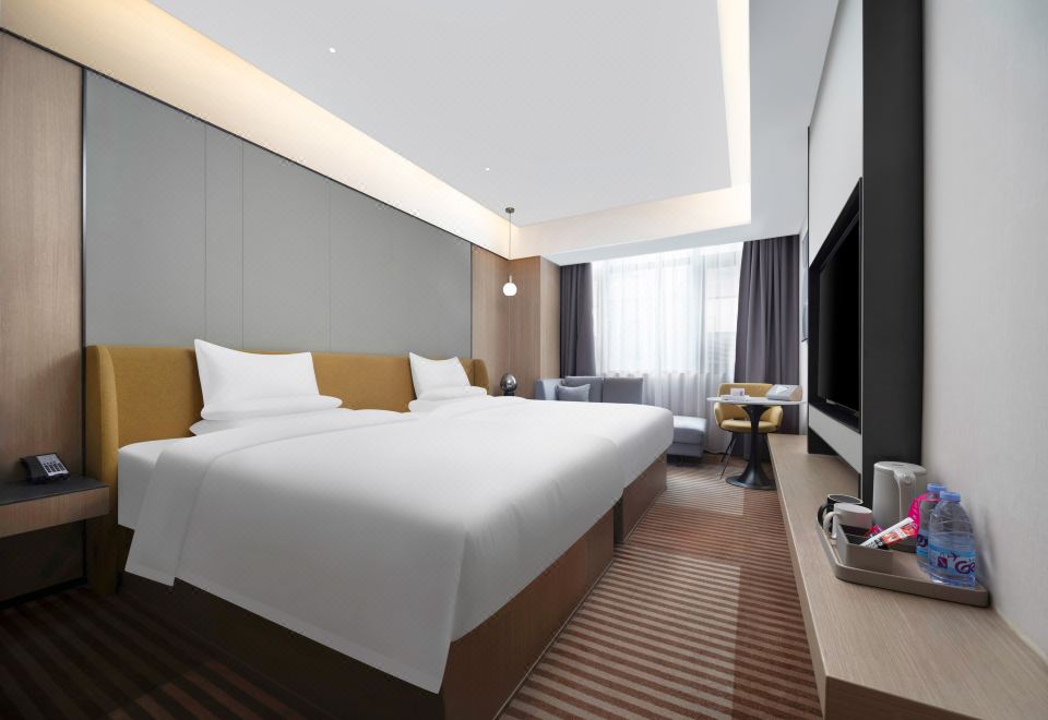 尊享商务双床房（梦百合零压床垫+智能客控+无痕投屏）