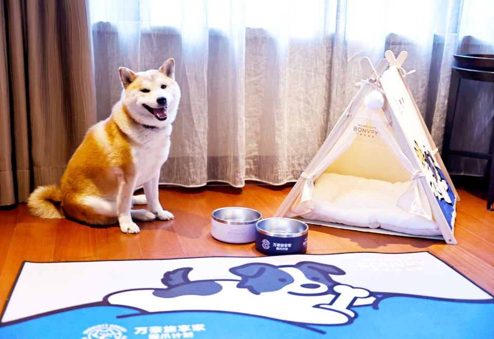 宠物友好主题房-狗狗房