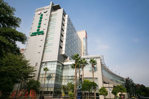 에버그린 플라자 호텔 - 타이난