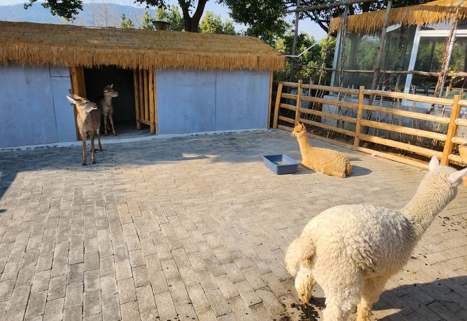 2号楼·阳台观景双床房