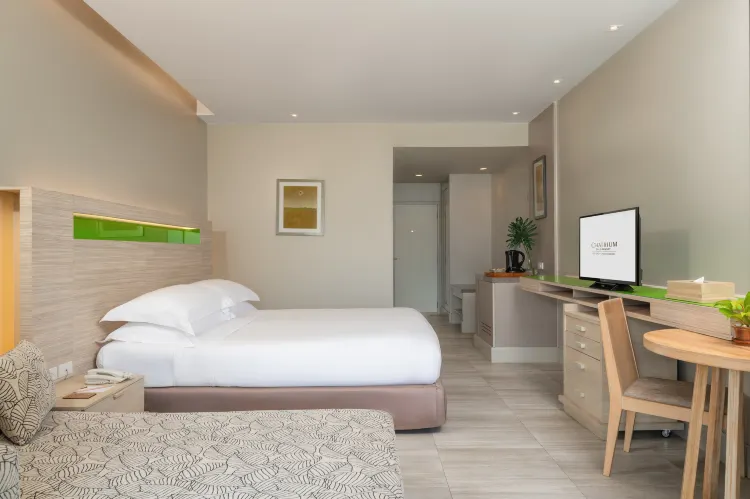 ห้องแกรนด์ดีลักซ์วิวภูเขา - เตียงคิงไซส์