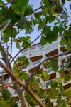 Kaani Palm Beach Các khách sạn ở 