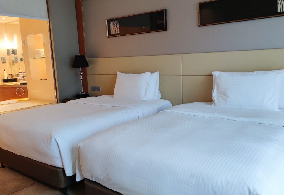 高级豪华双床房（乾湿分离浴室+吹风机）