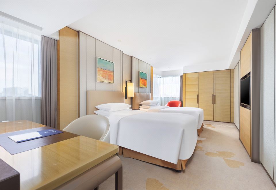 维景高级双床间