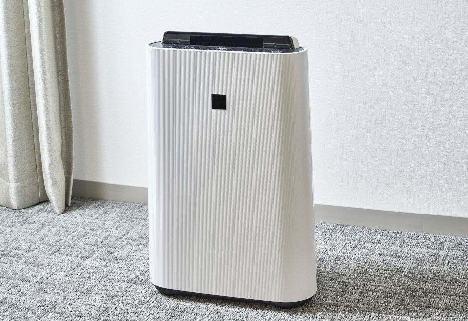 标准双床房（可吸烟）