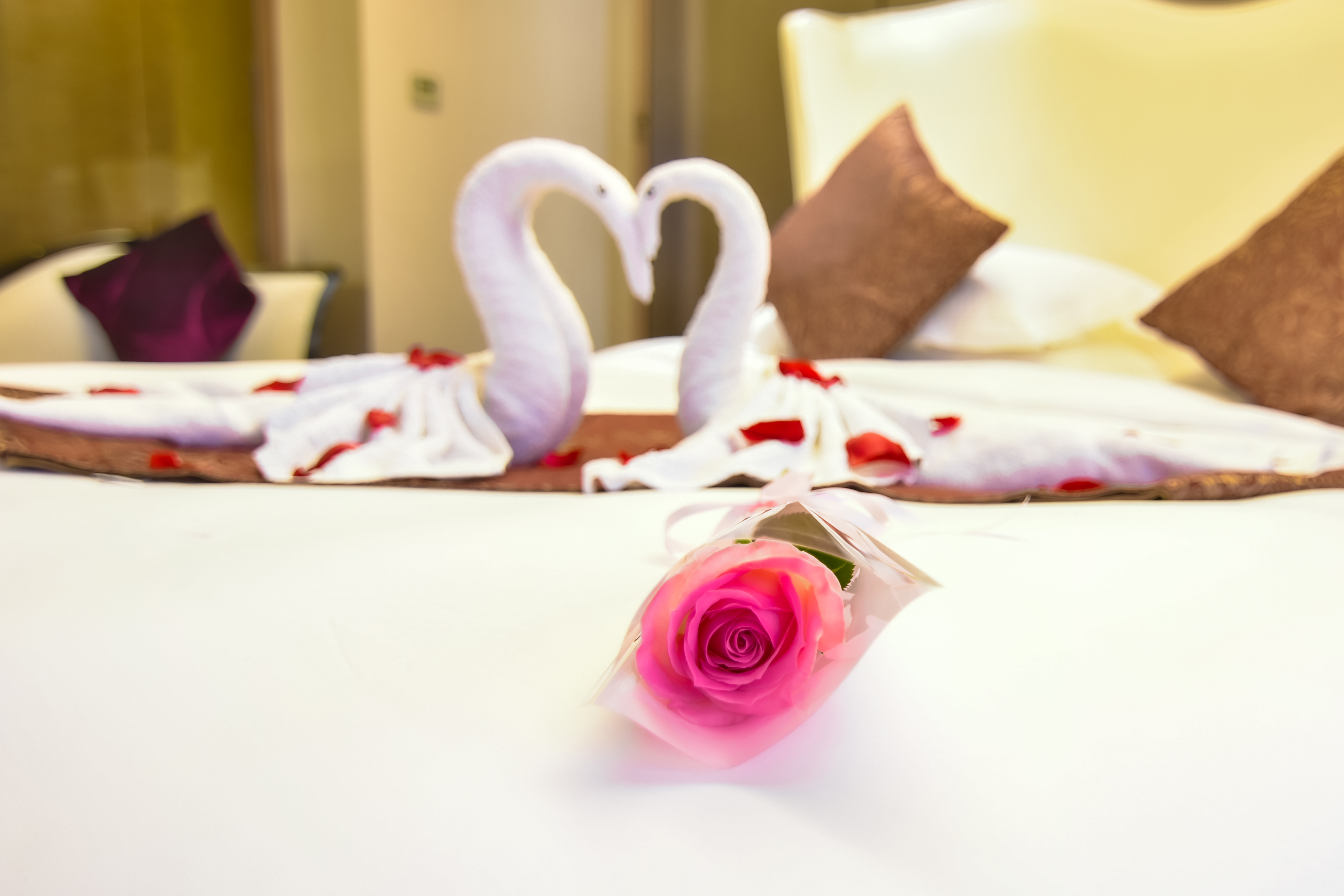 栖迟90°云浴河景套房