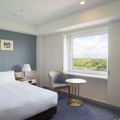 大床房（禁菸） 成田馬羅德國際飯店優惠