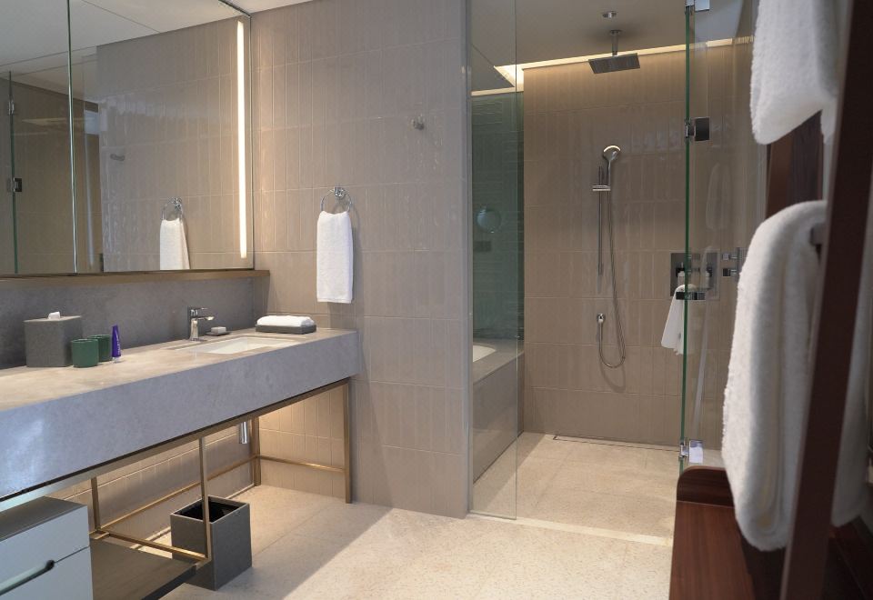 开放式套房（私享戴森吹风机+Coffee机+Minibar）