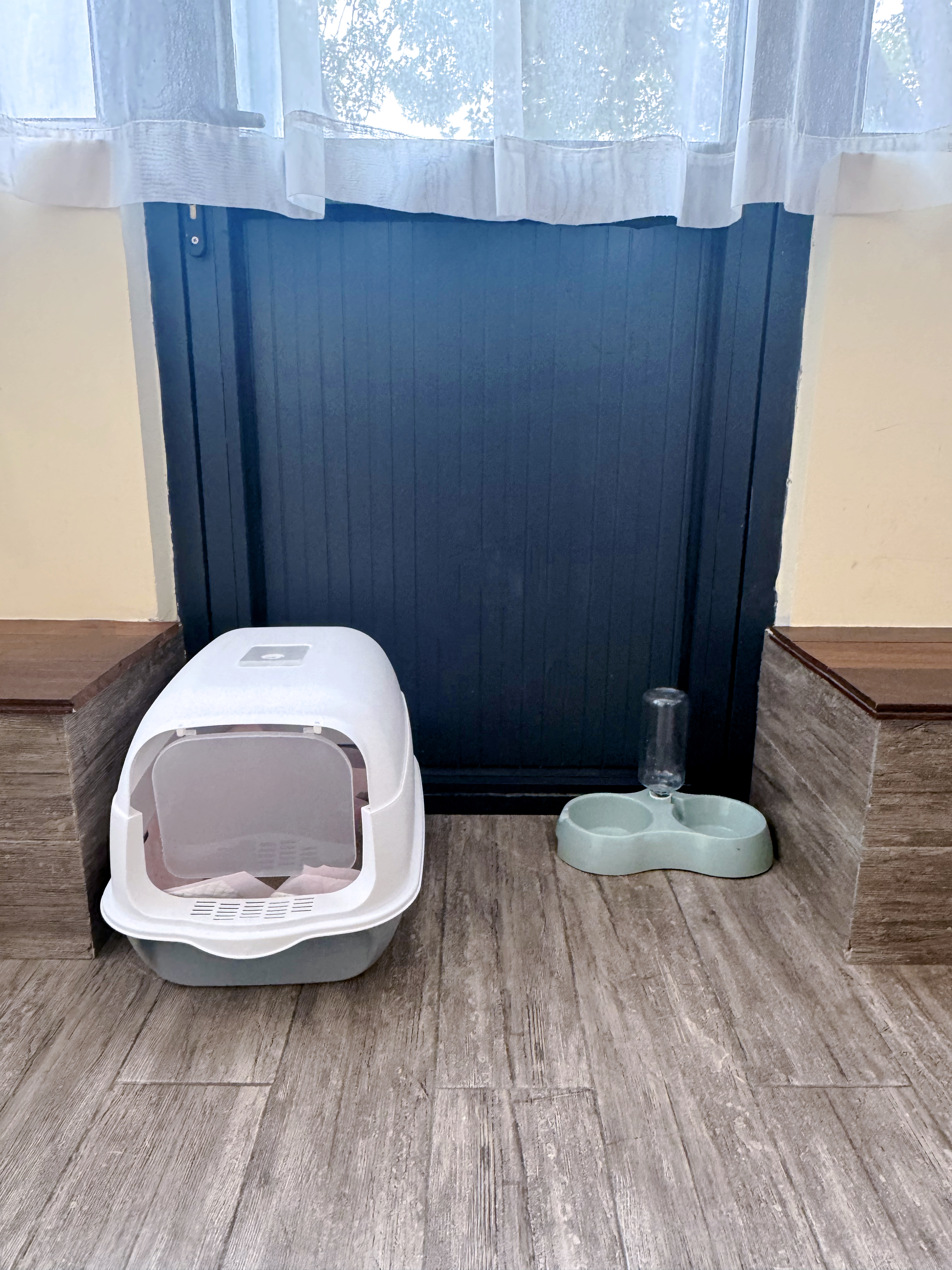 宠物友好大床房（宠物用品）