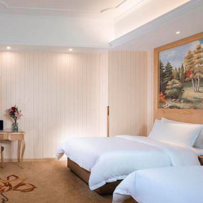 雅緻雙床房 維也納飯店（寧波火車站店）優惠