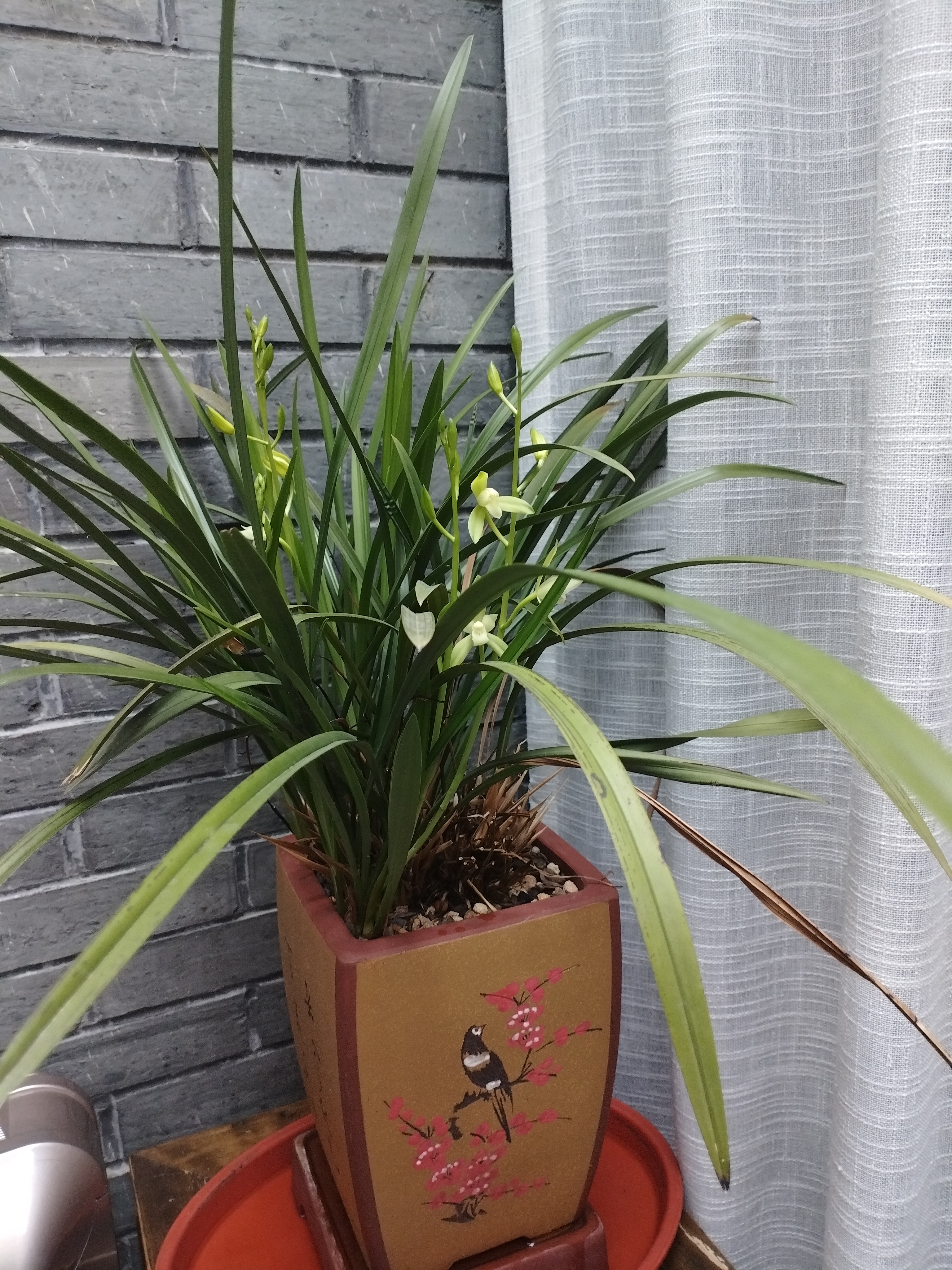 Xiang Zhang Shu Hotel梧桐·古运河风光庭院房·亲宠物房