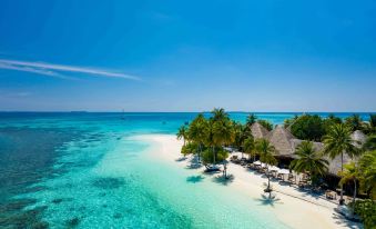 a tropical beach with white sand , palm trees , and a thatched - roof hut on the water 's edge at Mirihi Island Resort