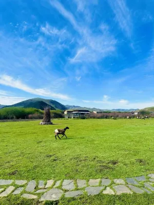 Sangqing Campsite