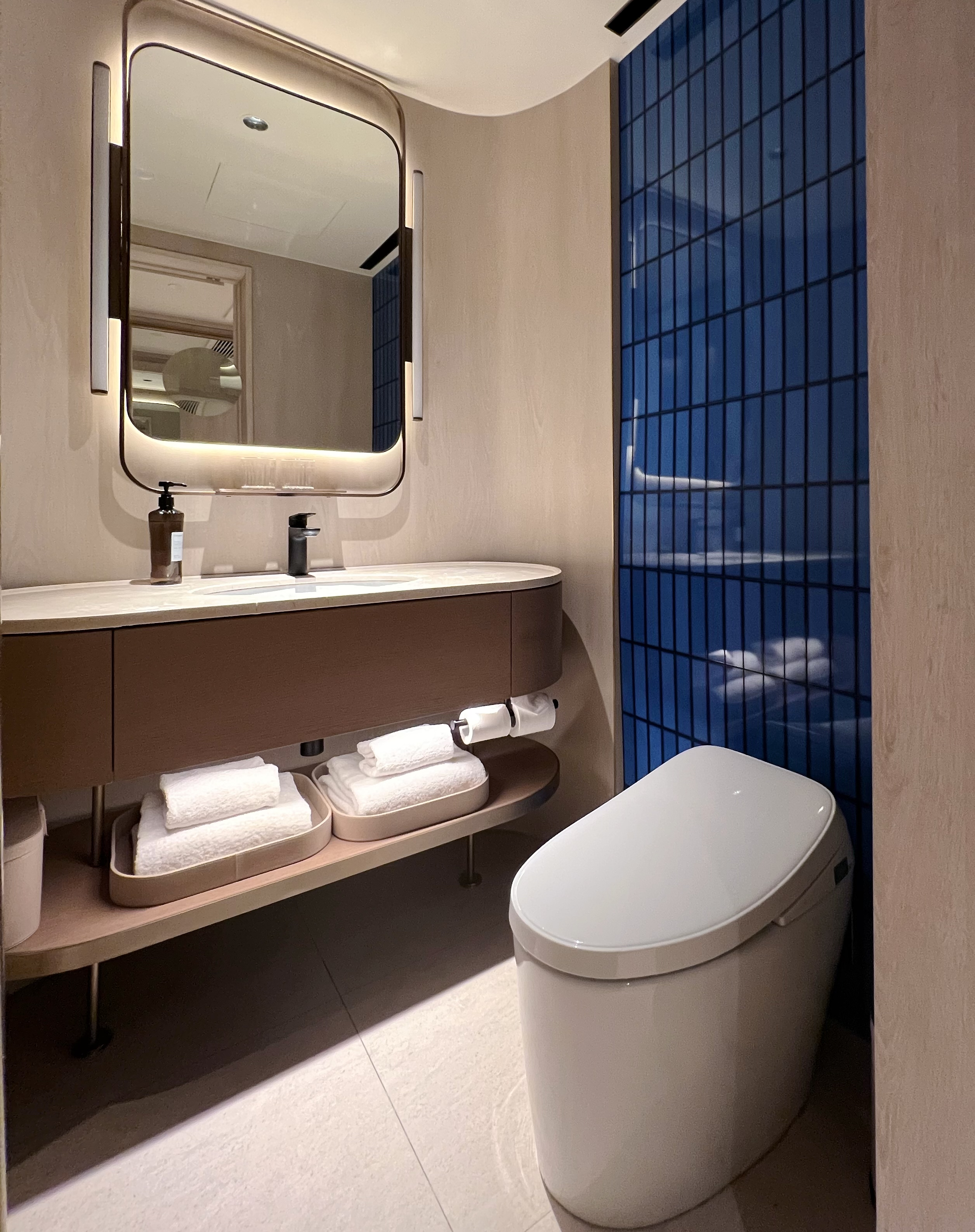 商务双床房 （智能客控+小冰箱+65寸投屏电视+零压床垫）