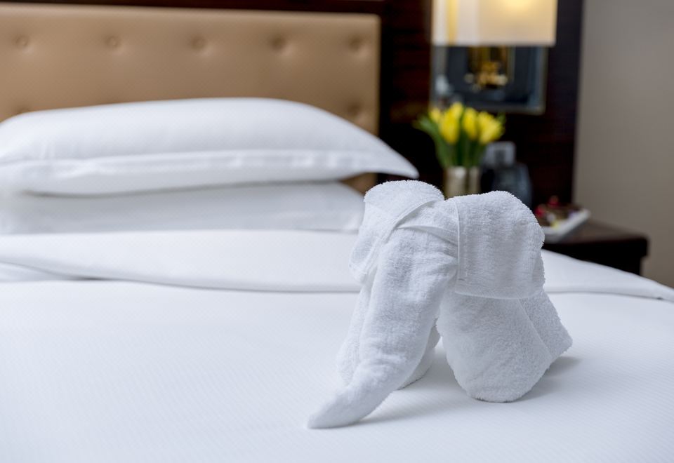 行政豪华双床房