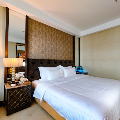 森林氧吧房（護脊零壓床墊+高級洗護） 東莞銀豐花園飯店優惠