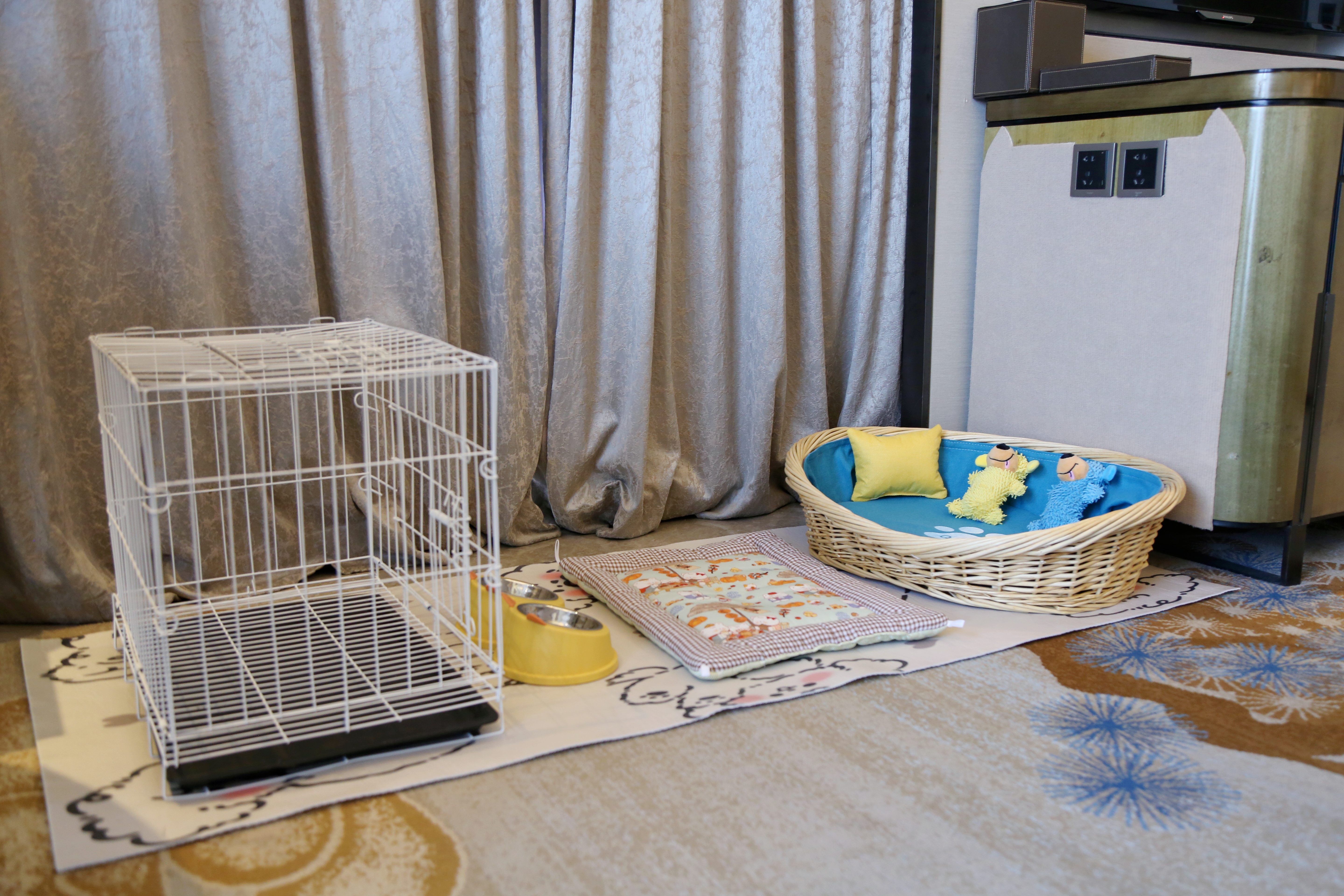 萌寵友好大床房（萌寵窩墊+玩具+食盆+溜寵物件）