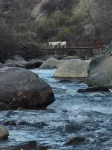 Lvxiang · Snow-Mountain View Meditate Hotel (Siguniang Mountain Branch)