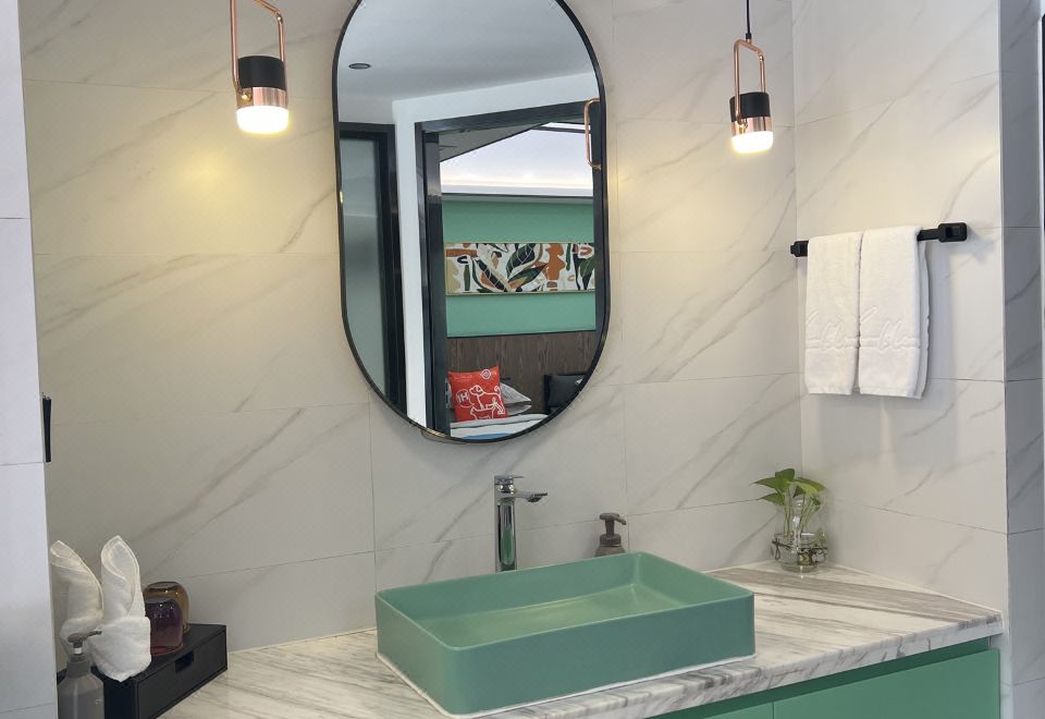 俱乐部宠物双床套房