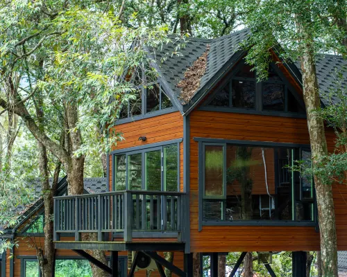 Luhe Liangshan Forest Wellness Homestay (Wandong) Hotels in Luhe